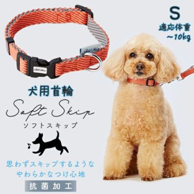 小型犬用首輪 category_name %}