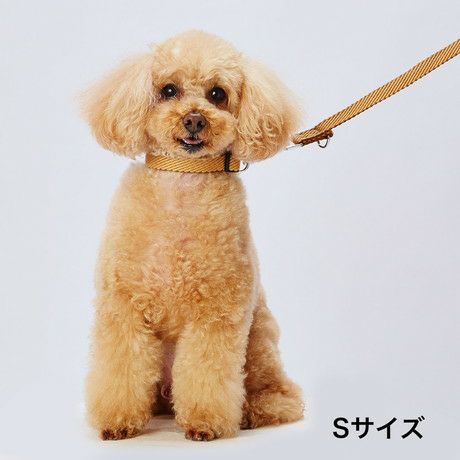 Add.Mate アドメイト 犬用首輪 ソフトスキップカラーSベージュ | ペティオ オンライン ショップ本店