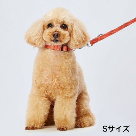 10%OFF！スーパーSALE】Add.Mate アドメイト 犬用首輪 ソフトスキップカラーMレッド【会員様限定】 | ペティオ オンライン  ショップ本店