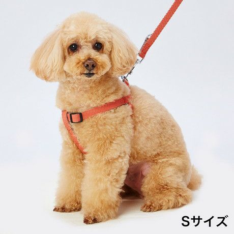 油絵　saosao専用　ベストフレンド*犬 ペットの油絵受注制作いたします 絵画 mimoza 通販 6423215