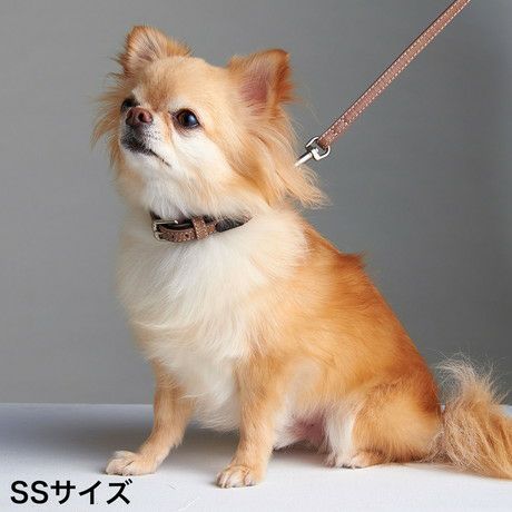 犬用首輪 フラッシュカラー SS レザーブラウン | ペティオ オンライン
