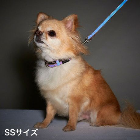 coloco コロコ 栃木レザー・カラー 犬用 18mm ライトブラウン coloco
