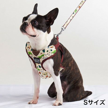 狩猟犬用 Bell ハチ公 レトロ品 Amazon.co.jp: 4ピース レトロ 金属 牛 羊飼い 犬ベル 農場 盗難