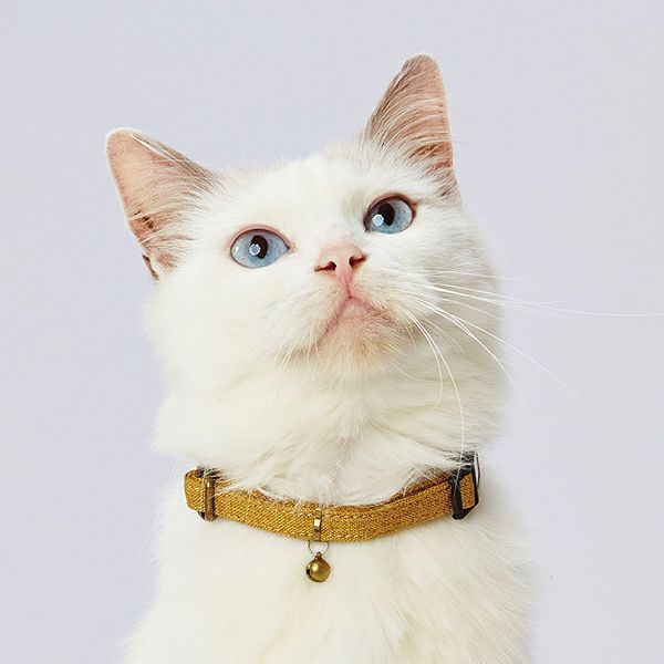 10%OFF！スーパーSALE】猫用首輪 necoco ネココ キャットカラー