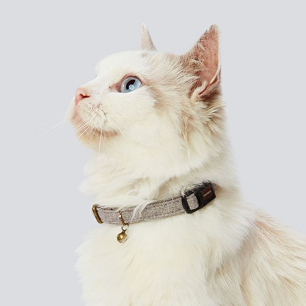 猫用首輪 necoco ネココ キャットカラー グレー | ペティオ