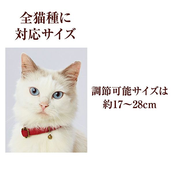 000000005209-06-l.jpg?t=