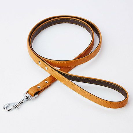 seven seas dog カラー　リード　革　軽量　犬　レザー　散歩 seven seas dog｜セブンシーズドッグ【CORDURA SLIDER COLLAR