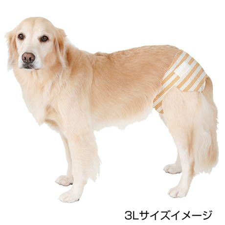 000000005903-05-l.jpg?t=