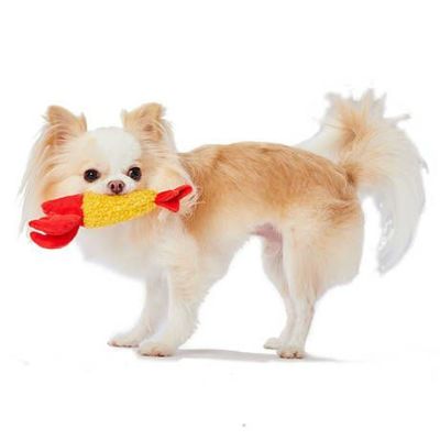 Dog toys EthicalDoor Shrimp heaven
