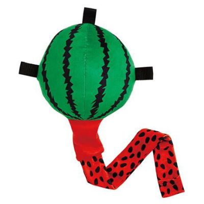 【50%OFF！タイムセール】犬用おもちゃ びよ～ん！フルーツ スイカ【会員様限定】