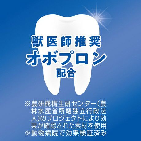 Plact プラクト 長持ちロング歯みがきデンタルガム ストロング Plact プラクト 長持ちロング歯みがきデンタルガム ストロング