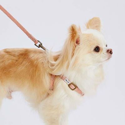 犬用胴輪 フラッシュソフトハーネス SS ピンク