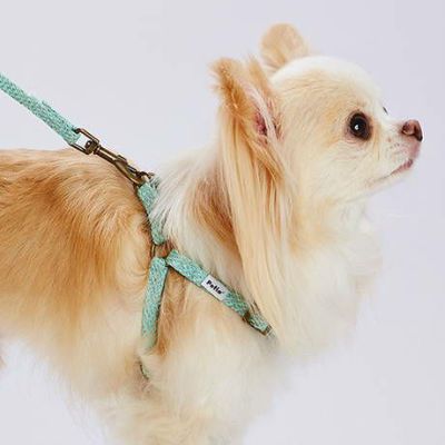 【10%OFF！スーパーSALE】犬用胴輪 フラッシュソフトハーネス SS ブルー【会員様限定】