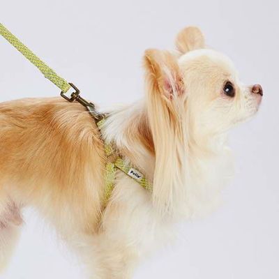 犬用胴輪 フラッシュソフトハーネス SS イエロー