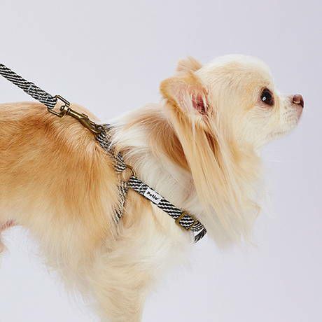 犬用胴輪 フラッシュソフトハーネス SS ブラック | ペティオ