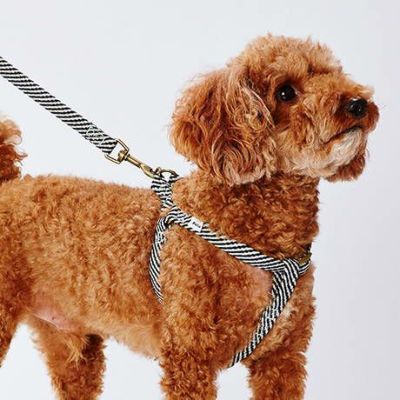 犬用胴輪 フラッシュソフトハーネス S ブラック