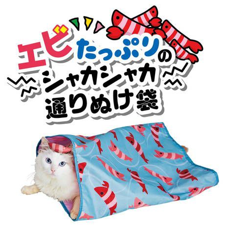 猫用食事療法食 | エイジングケア ライト ドライ | ベッツホーム