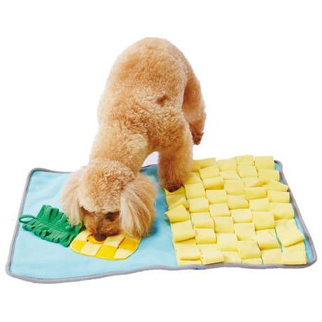 おもちゃ　犬用 Amazon | チューデント 歯みがきおもちゃ ティーザー ソフト
