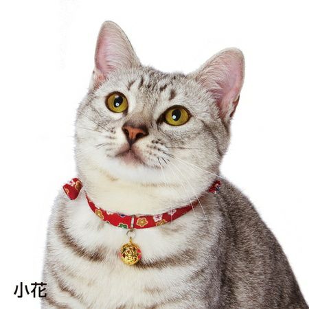 ネコ丸さん専用\( ´ω` )/ 他の人購入× 18歳から お魚ミックス まぐろ・かつお・たい入り(老猫用