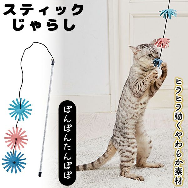 猫ちゃんの飼い始めにピッタリなグッズ | ペティオ オンライン