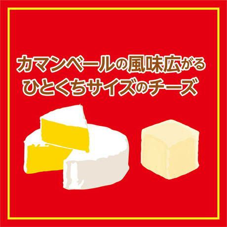 20%OFF！スーパーSALE】Plact プラクト チーズキューブ