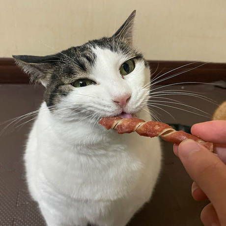 Youyou no neko tsumami ヨーヨーの猫つまみ 1992 【希少】 ヨーヨーの