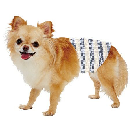犬　オムツ　エチケットパンツ 犬用オムツ フレス frais たっぷり吸収するエチケットパンツ 男