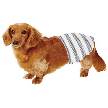 犬用オムツ フレス frais たっぷり吸収するエチケットパンツ 男