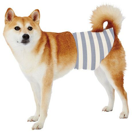 犬用オムツ フレス frais たっぷり吸収するエチケットパンツ 女