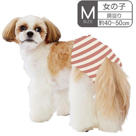 犬　オムツ　エチケットパンツ 000000006876-02-l.jpg?t=