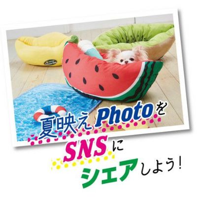 商品イメージ