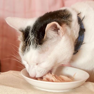 商品イメージ
