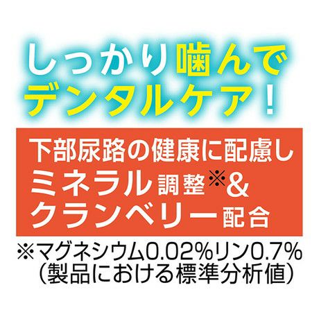 Plact プラクト ねこちゃんの 7歳からの歯みがきデンタルガム