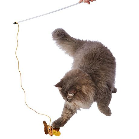 Add.Mate アドメイト 猫用おもちゃ カシャカシャじゃらし 黄金のチョウ