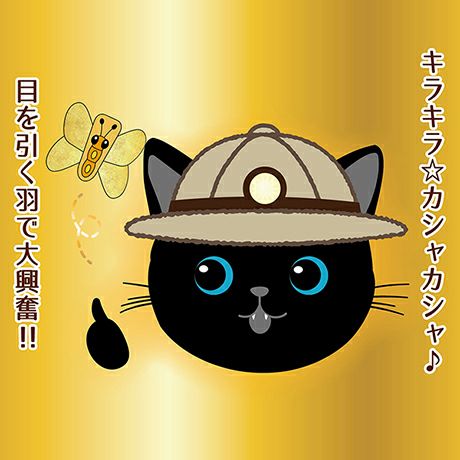 Add.Mate アドメイト 猫用おもちゃ カシャカシャじゃらし 黄金のチョウ ...