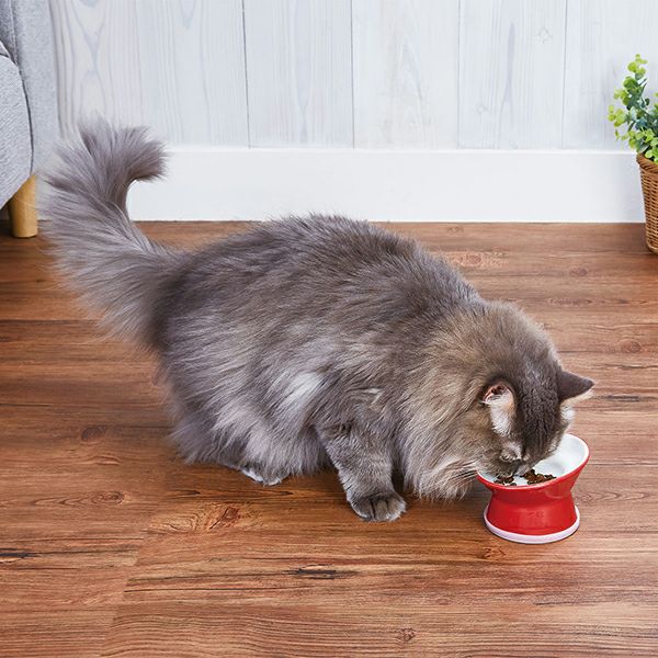 50%OFF！迎春セール】Add.Mate アドメイト 猫用食器 ヒゲがあたり