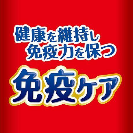 ペティオ【ケース販売】乳酸菌のちからスティックタイプ100g(1