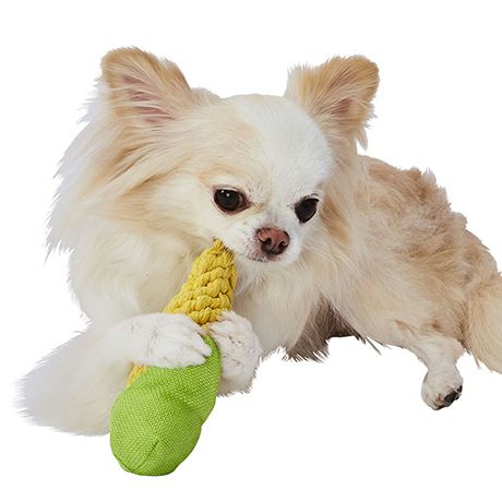 犬用おもちゃ 編んでるCORNデンタル S | ペティオ オンライン ショップ本店