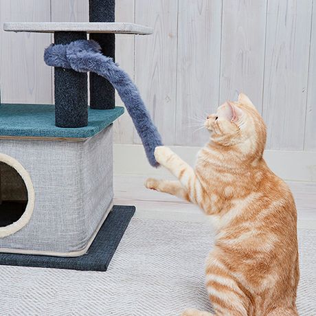 猫用おもちゃ にゃんプロ猫じゃらし となりのしっぽ | ペティオ 猫用おもちゃ にゃんプロ猫じゃらし となりのしっぽ | ペティオ
