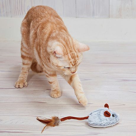 猫用おもちゃ ワイルドマウス 自動走行ロボねずみマックス号