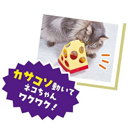 Amazon | 【成猫用 イタリア製 キャットフード 2kg】BWild ビー