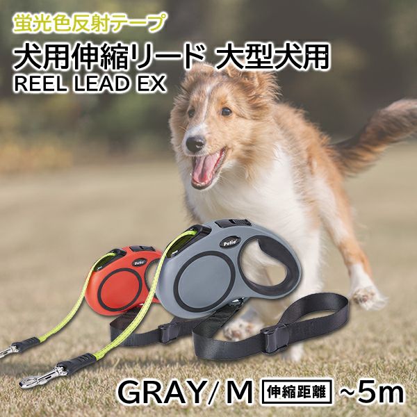 未使用★小型犬用伸縮リード 犬用伸縮リード リールリードEX M グレー | ペティオ オンライン
