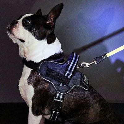 犬用胴輪 EthicalDoor エシカルドア イージーウェアハーネス S ブラック