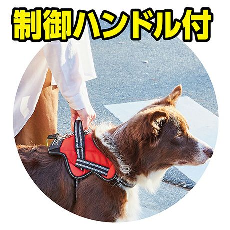 犬用胴輪 EthicalDoor エシカルドア イージーウェアハーネス S ブラック | ペティオ オンライン ショップ本店