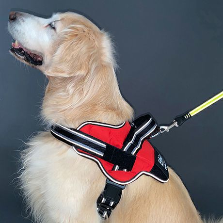 犬用胴輪 EthicalDoor エシカルドア イージーウェアハーネス L