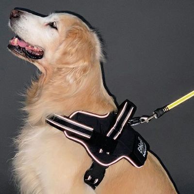 犬用胴輪 EthicalDoor エシカルドア イージーウェアハーネス L