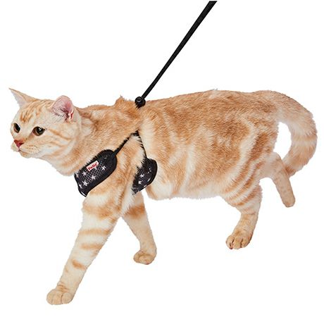 おでかけ特集10%OFF】猫用胴輪 イージーキャットハーネス