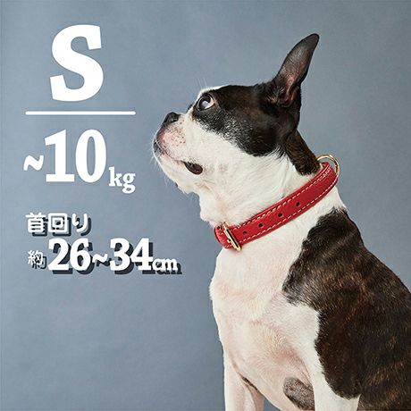 10%OFF！スーパーSALE】犬用首輪 Porta ポルタ クラシックソフトレザー