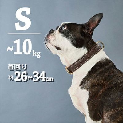 10%OFF！スーパーSALE】犬用首輪 Porta ポルタ クラシックソフトレザー