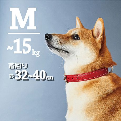 10%OFF！スーパーSALE】犬用首輪 Porta ポルタ クラシックソフトレザー